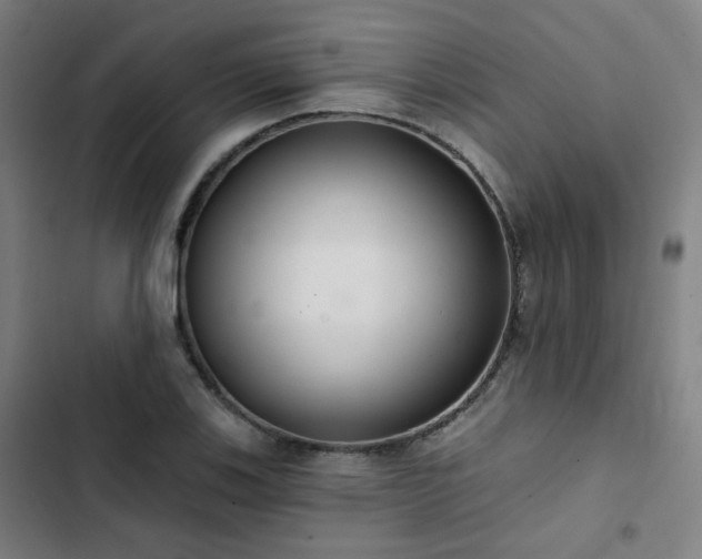 X0000103281123200809051524