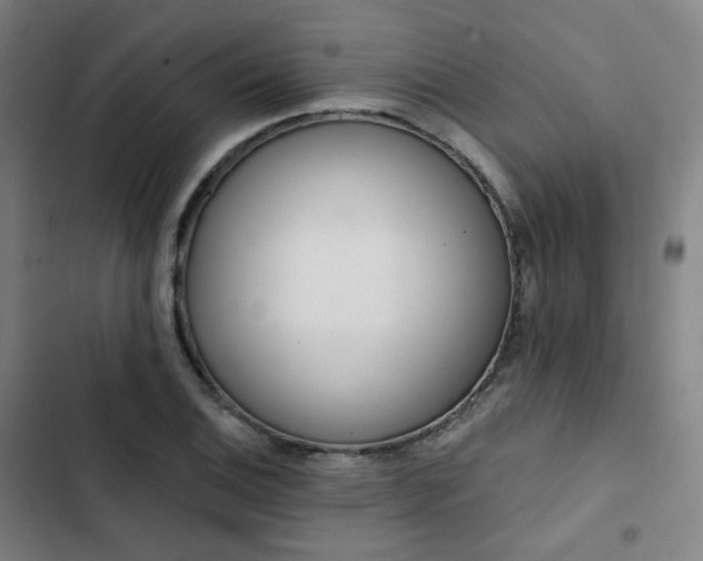 X0000103281124200809051524