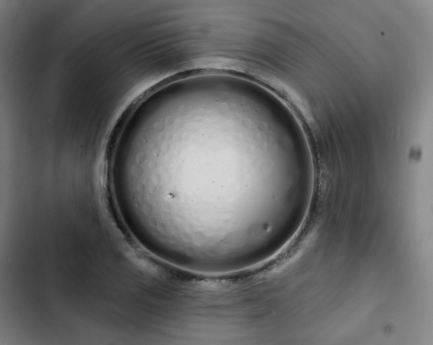 X0000103281125200809051524