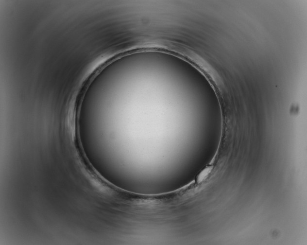 X0000103281127200809051524