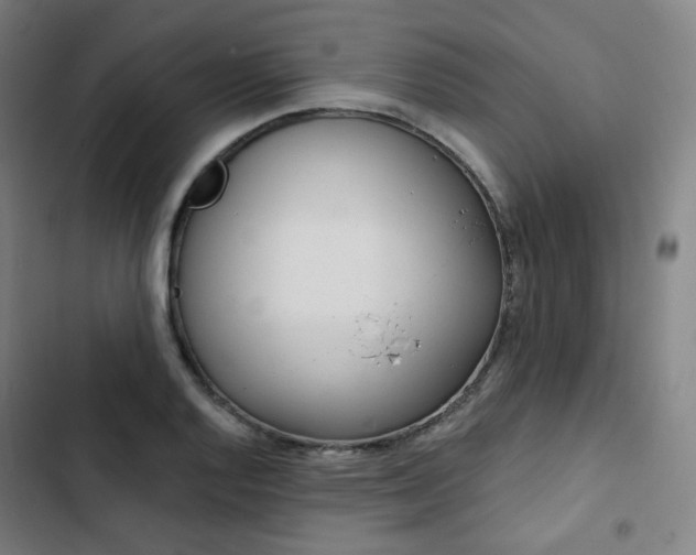 X0000103281128200809051524