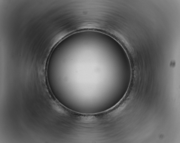 X0000103281129200809051524