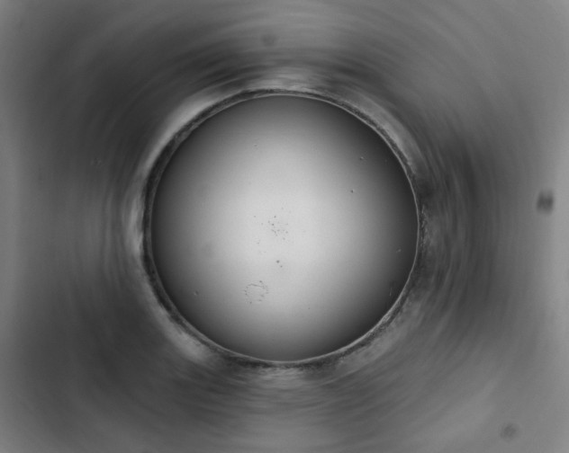 X0000103281131200809051524