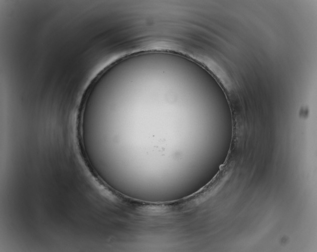 X0000103281134200809051525