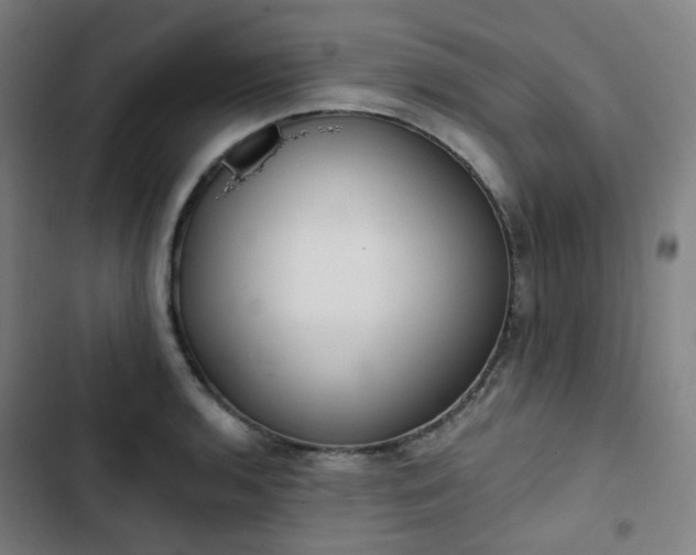 X0000103281136200809051525