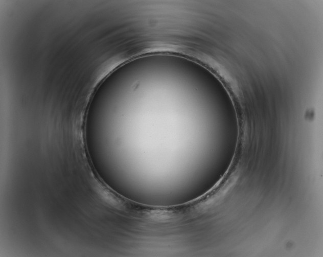 X0000103281137200809051525