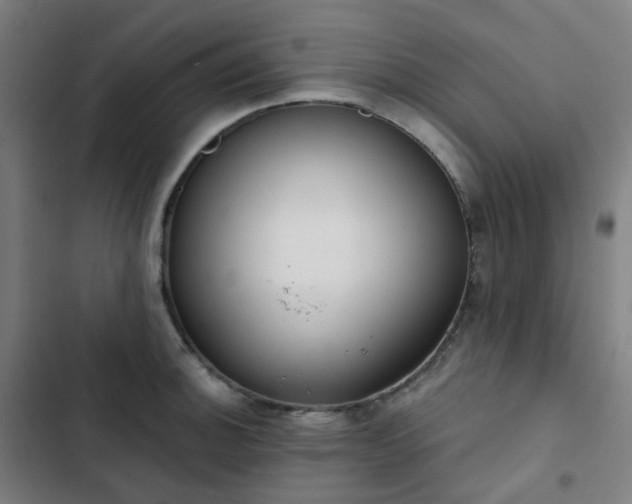 X0000103281140200809051525