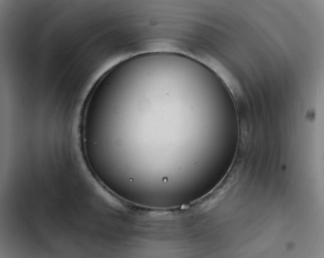 X0000103281142200809051525