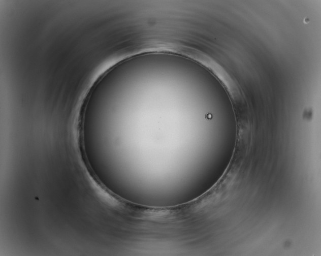 X0000103281143200809051525