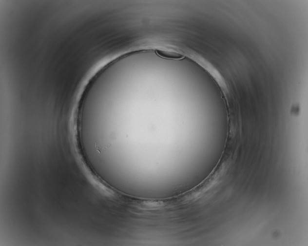 X0000103281144200809051525