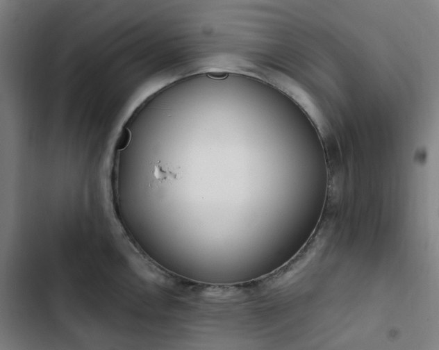 X0000103281146200809051525