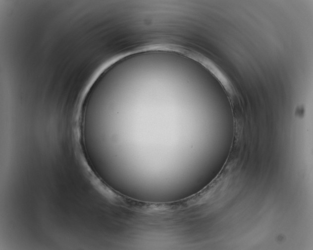 X0000103281148200809051525