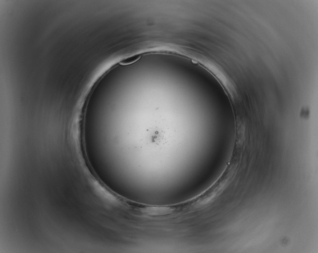 X0000103281151200809051525