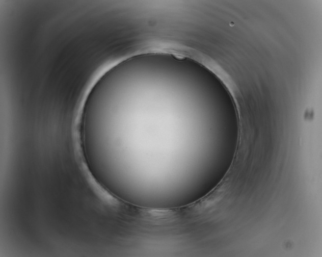 X0000103281152200809051525