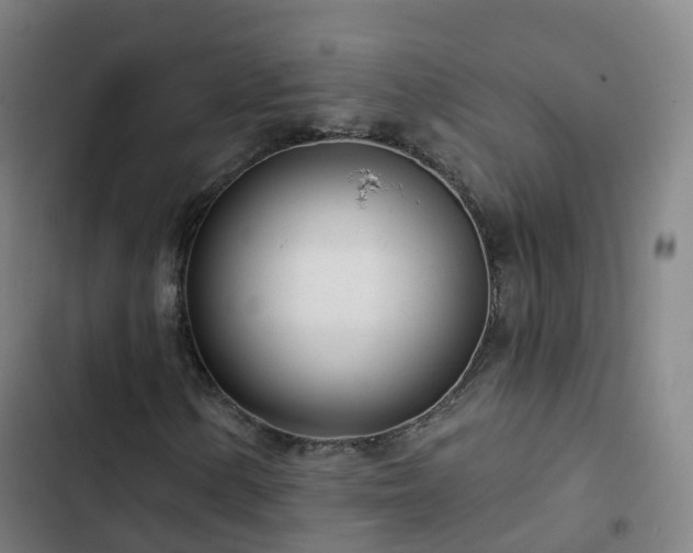 X0000103281154200809051524