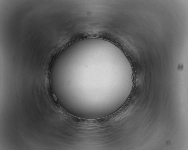 X0000103281156200809051524