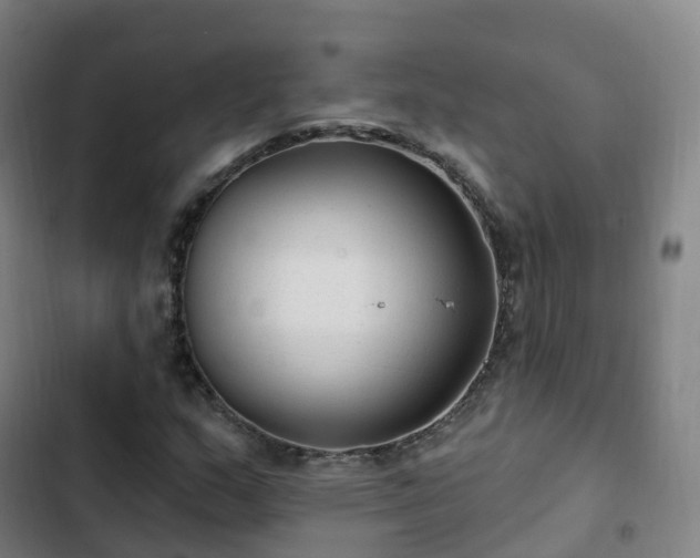 X0000103281159200809051524