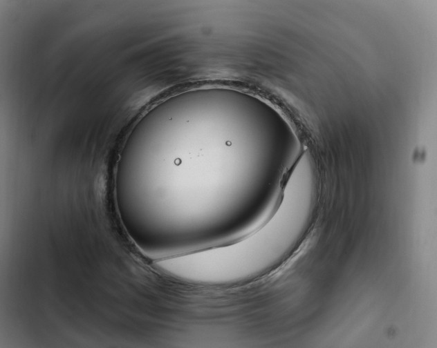 X0000103281161200809051524