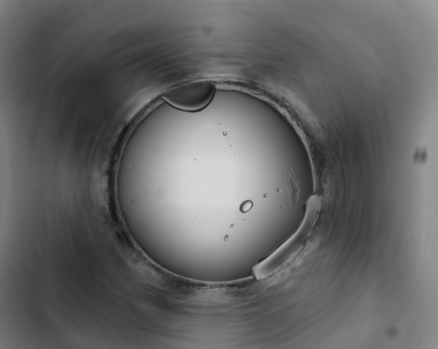 X0000103281162200809051524