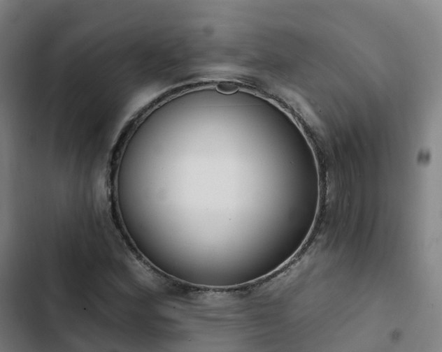 X0000103281164200809051524