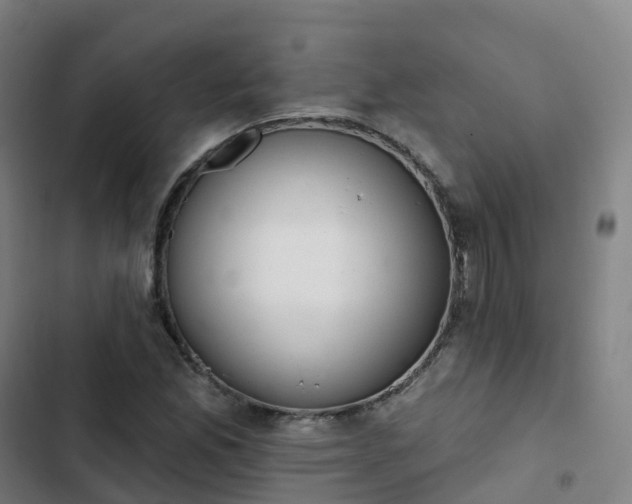 X0000103281165200809051524