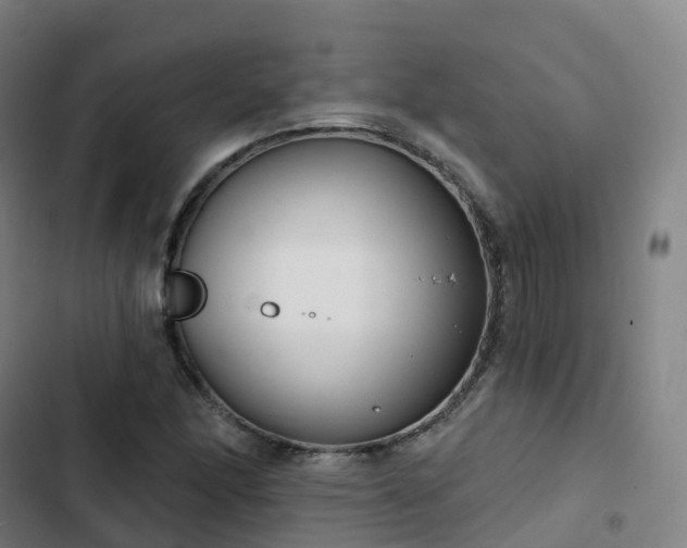 X0000103281166200809051524