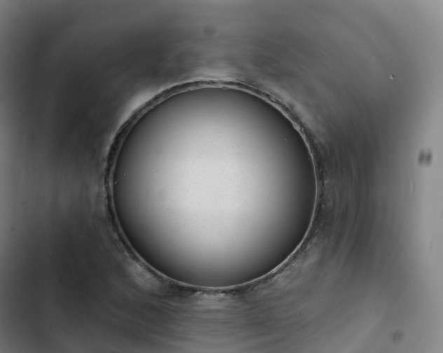 X0000103281168200809051524