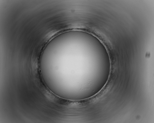 X0000103281169200809051524