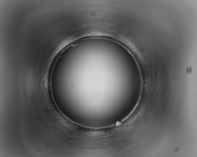 X0000103281173200809051524