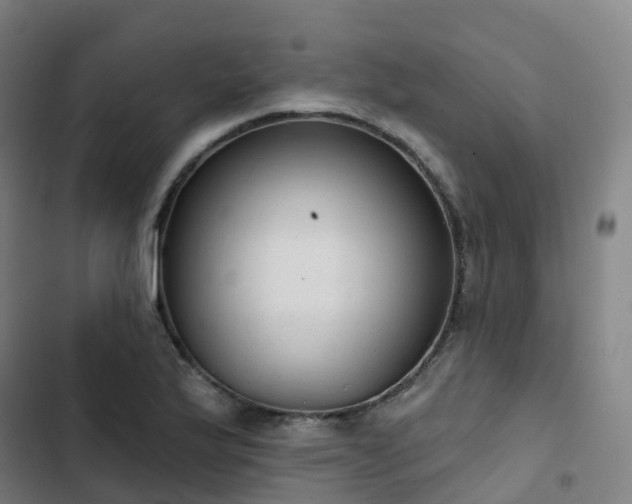 X0000103281175200809051524