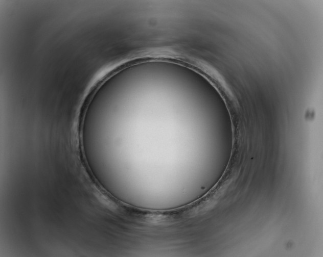 X0000103281176200809051524