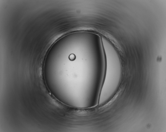 X0000103281177200809051524