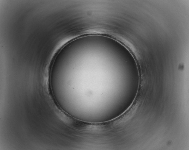 X0000103281179200809051524