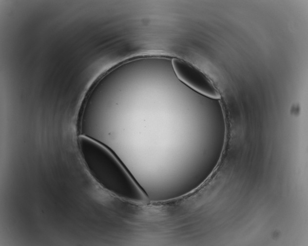 X0000103281181200809051524