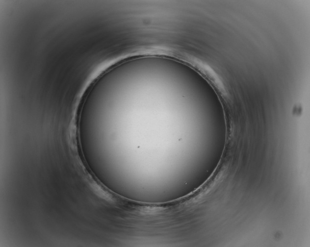 X0000103281184200809051524