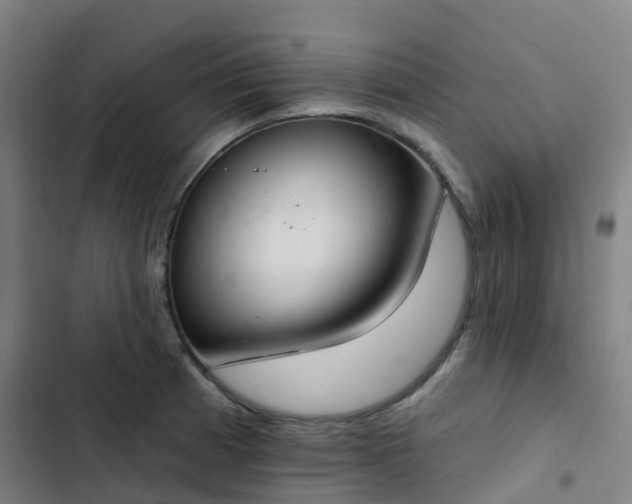 X0000103281185200809051524