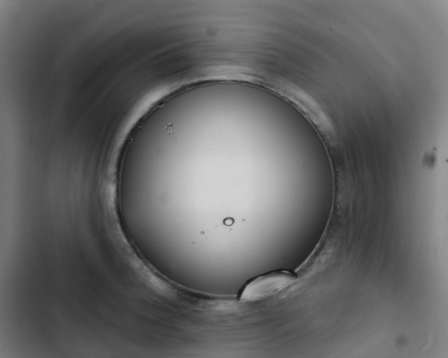 X0000103281188200809051524