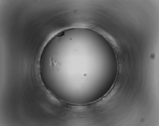 X0000103281192200809051524