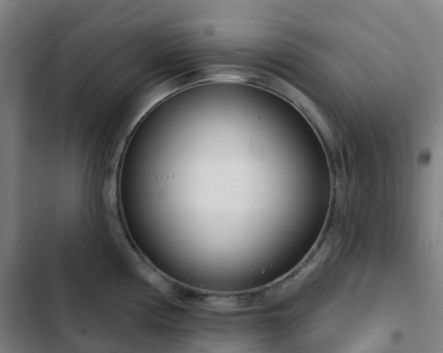 X0000103281194200809051524