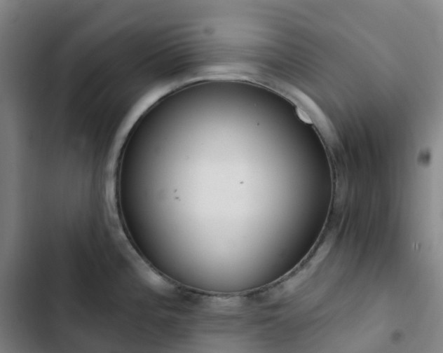 X0000103281196200809051524