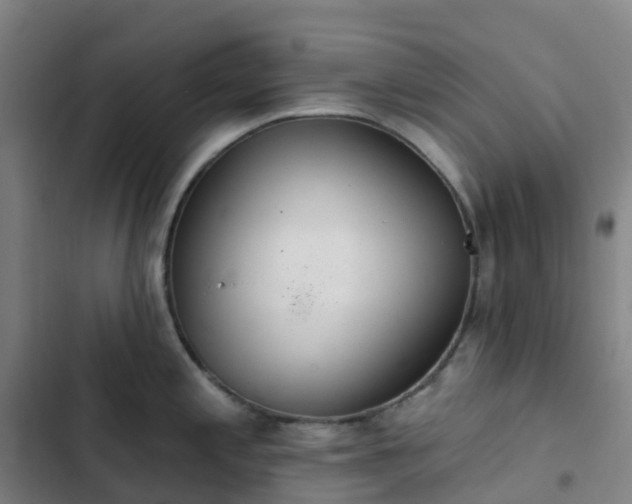 X0000103281197200809051524