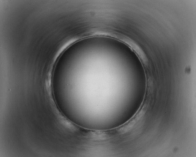 X0000103281198200809051523