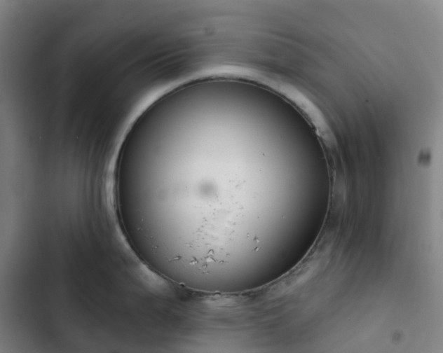 X0000103281199200809051523