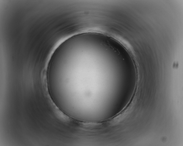 X0000103281200200809051523