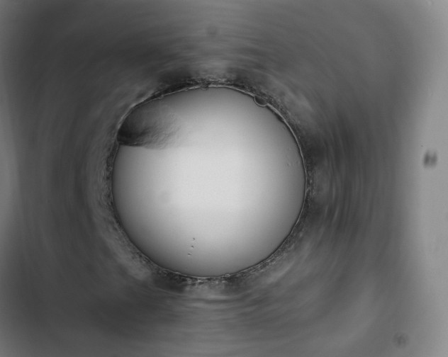 X0000103281201200809051523