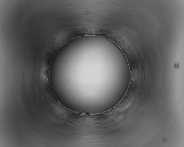 X0000103281202200809051523