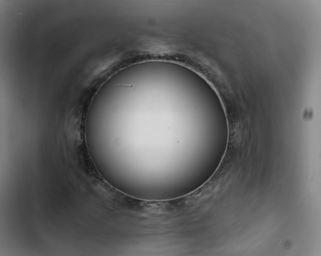 X0000103281205200809051523