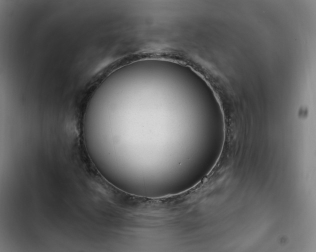 X0000103281206200809051523