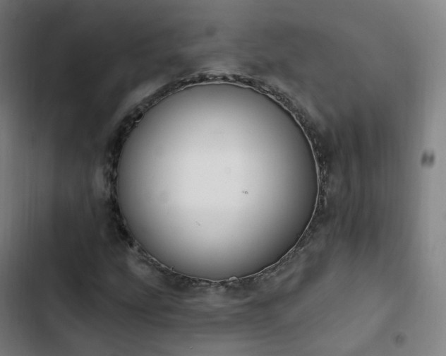 X0000103281207200809051523