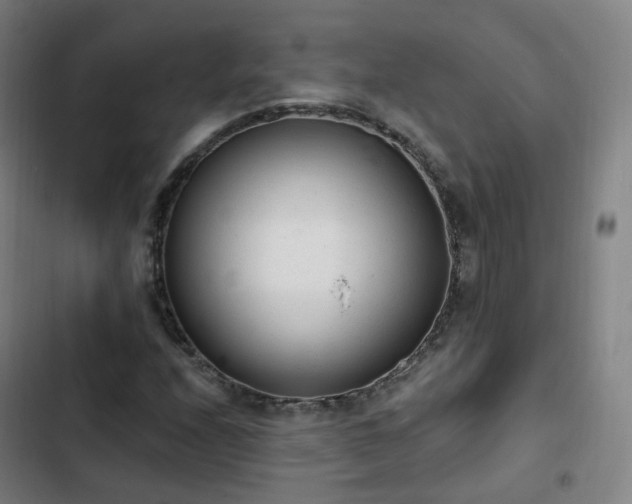 X0000103281208200809051523